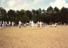 scn10